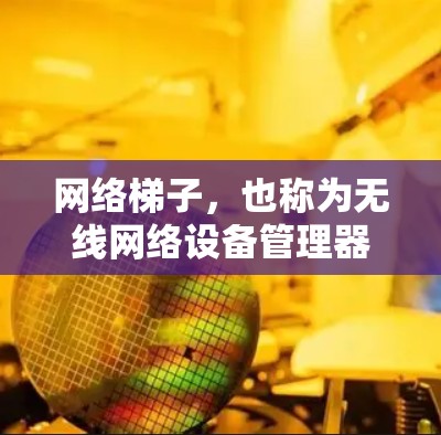 网络梯子，也称为无线网络设备管理器，是一种用于管理多个无线网络设备的工具。它通过连接多个无线网络设备到同一个网络环境中，帮助用户轻松管理、配置和管理无线网络。以下是关于网络梯子的详细步骤和方法