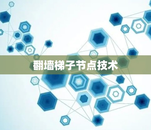 翻墙梯子节点技术