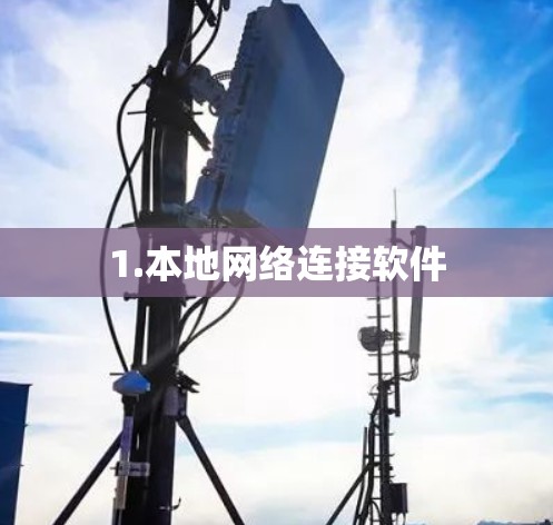 1.本地网络连接软件
