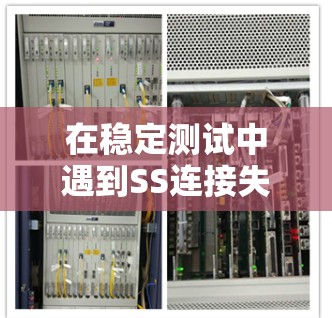 在稳定测试中遇到SS连接失败的问题,可以通过以下步骤逐步排查和解决