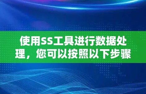 使用SS工具进行数据处理,您可以按照以下步骤进行