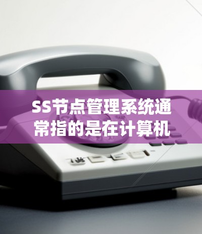 SS节点管理系统通常指的是在计算机网络中用于管理多个节点的管理系统,具体含义可能因上下文而异。以下是一些可能的解释 SS节点管理系统通常指的是在计算机网络中用于管理多个节点的管理系统,具体含义可能因上下文而异。以下是一些可能的解释