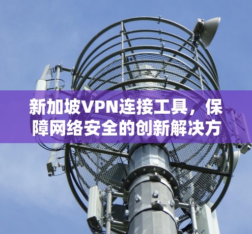 新加坡VPN连接工具,保障网络安全的创新解决方案 新加坡VPN连接工具,保障网络安全的创新解决方案