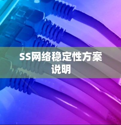 SS网络稳定性方案说明