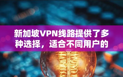 新加坡VPN线路提供了多种选择，适合不同用户的需求。以下是主要的VPN服务及其特点