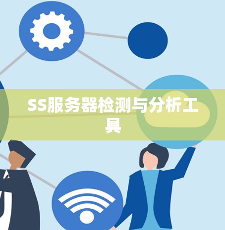 SS服务器检测与分析工具