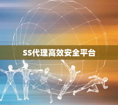 SS代理高效安全平台