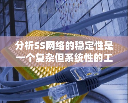分析SS网络的稳定性是一个复杂但系统性的工作，涉及多个步骤和工具的使用。以下是一步步的总结和建议