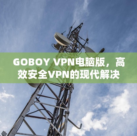 GOBOY VPN电脑版,高效安全VPN的现代解决方案 GOBOY VPN电脑版,高效安全VPN的现代解决方案