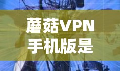 蘑菇VPN手机版是一个手机应用,旨在提供安全、便捷的VPN服务。以下是对该应用的分步解释