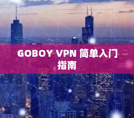 GOBOY VPN 简单入门指南