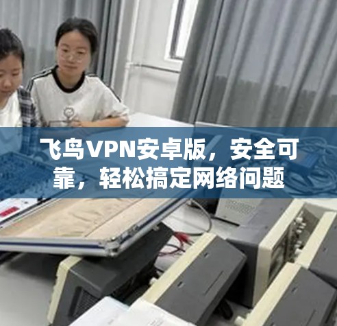 飞鸟VPN安卓版,安全可靠,轻松搞定网络问题 飞鸟VPN安卓版,安全可靠,轻松搞定网络问题