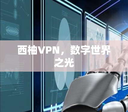 西柚VPN,数字世界之光 西柚VPN,数字世界之光