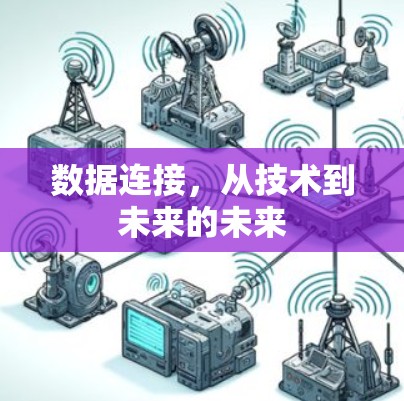 数据连接，从技术到未来的未来