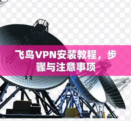 飞鸟VPN安装教程，步骤与注意事项