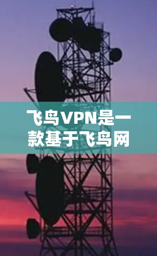 飞鸟VPN是一款基于飞鸟网络的VPN服务，用户可以通过它在不安装任何软件的情况下，轻松地在世界各地的服务器上进行VPN连接。以下是一些关于使用飞鸟VPN的体验和信息