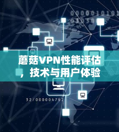 蘑菇VPN性能评估，技术与用户体验的平衡