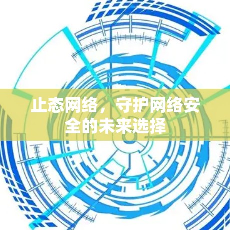 止态网络,守护网络安全的未来选择 止态网络,守护网络安全的未来选择