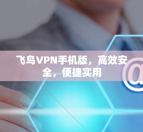 飞鸟VPN手机版,高效安全,便捷实用 飞鸟VPN手机版,高效安全,便捷实用