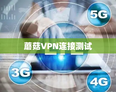 蘑菇VPN连接测试