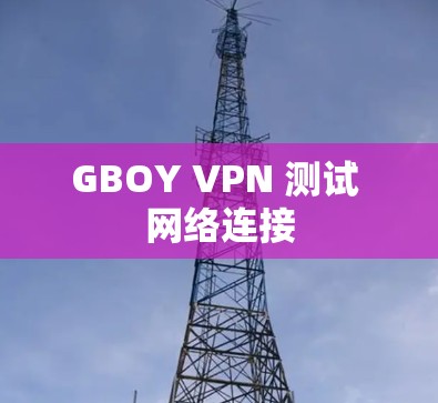 GBOY VPN 测试 网络连接