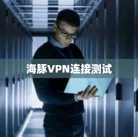 海豚VPN连接测试 海豚VPN连接测试