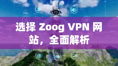 选择 Zoog VPN 网站，全面解析
