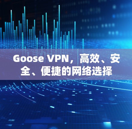 Goose VPN,高效、安全、便捷的网络选择 Goose VPN,高效、安全、便捷的网络选择
