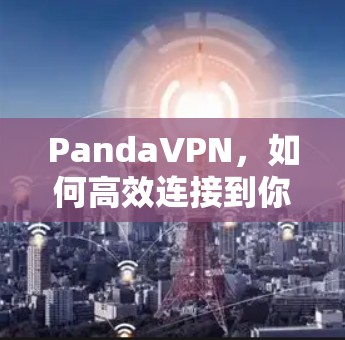 PandaVPN，如何高效连接到你的IP地址？