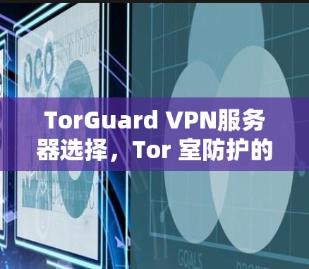 TorGuard VPN服务器选择，Tor 室防护的关键解决方案