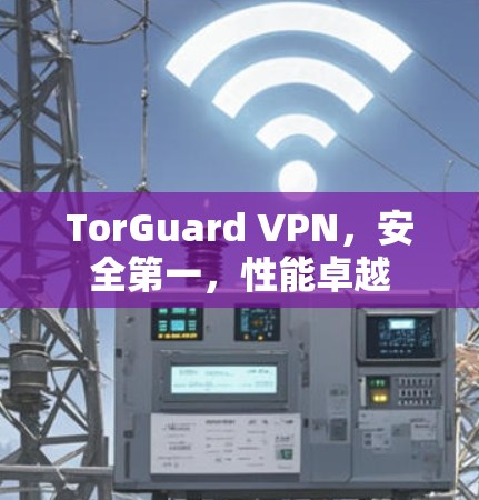 TorGuard VPN,安全第一,性能卓越 TorGuard VPN,安全第一,性能卓越