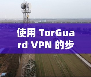 使用 TorGuard VPN 的步骤如下