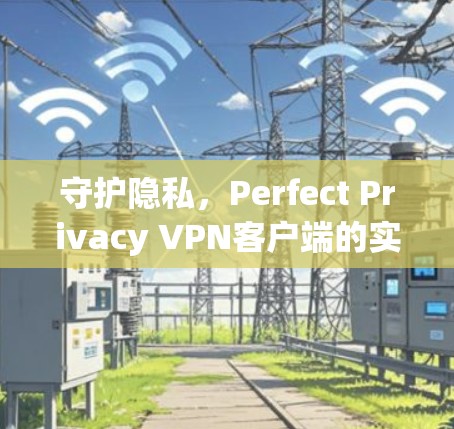 守护隐私，Perfect Privacy VPN客户端的实用指南