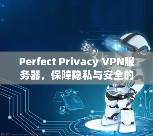 Perfect Privacy VPN服务器，保障隐私与安全的云应用传输解决方案