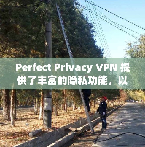 Perfect Privacy VPN 提供了丰富的隐私功能，以帮助用户更好地保护个人隐私。以下是其主要的隐私功能