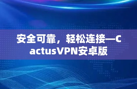 安全可靠，轻松连接—CactusVPN安卓版