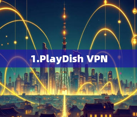 1.PlayDish VPN 1.PlayDish VPN