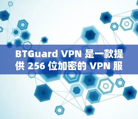 BTGuard VPN 是一款提供 256 位加密的 VPN 服务，旨在提供安全、可靠和高效的网络连接体验。以下是对 BTGuard VPN 的体验分析