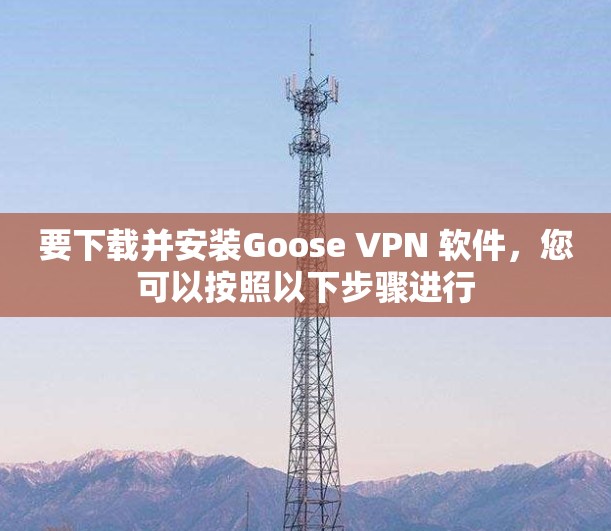 要下载并安装Goose VPN 软件,您可以按照以下步骤进行