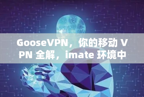 GooseVPN,你的移动 VPN 全解,imate 环境中轻松连接外部网络 GooseVPN,你的移动 VPN 全解,imate 环境中轻松连接外部网络
