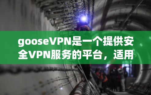 gooseVPN是一个提供安全VPN服务的平台,适用于需要可靠网络连接的用户。以下是其主要功能的详细介绍