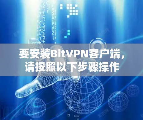 要安装BitVPN客户端，请按照以下步骤操作