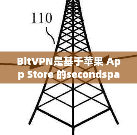 BitVPN是基于苹果 App Store 的secondspass云安全提供的苹果平台安全服务，允许用户在苹果设备上使用VPN。以下是详细的设置步骤