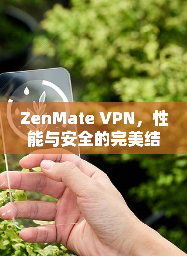 ZenMate VPN,性能与安全的完美结合 ZenMate VPN,性能与安全的完美结合