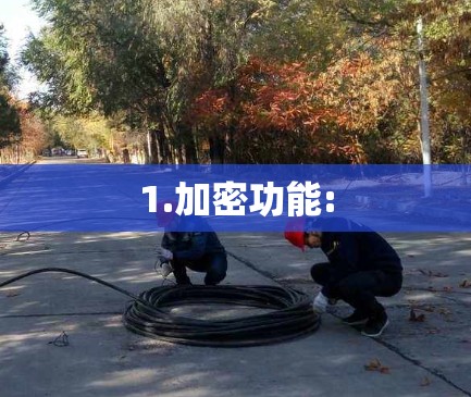 1.加密功能: 1.加密功能: