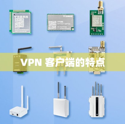 VPN 客户端的特点