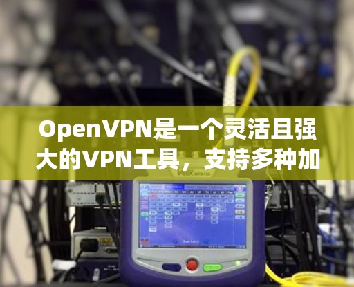 OpenVPN是一个灵活且强大的VPN工具,支持多种加密算法和协议。以下是一些解决方案和小贴士,帮助您更好地使用OpenVPN OpenVPN是一个灵活且强大的VPN工具,支持多种加密算法和协议。以下是一些解决方案和小贴士,帮助您更好地使用OpenVPN