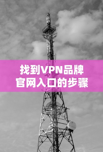 找到VPN品牌官网入口的步骤如下