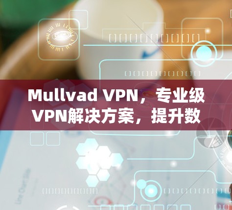 Mullvad VPN，专业级VPN解决方案，提升数据传输效率和安全性