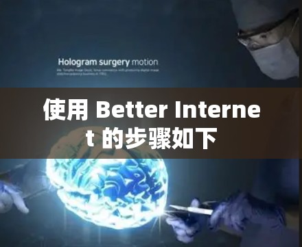 使用 Better Internet 的步骤如下 使用 Better Internet 的步骤如下